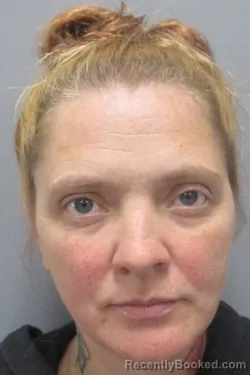Mugshot of Stephanie Diane Chandler booked in Berkeley County, West Virginia on May 7, 2026