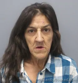 Mugshot of Teresa Michelle Fraley booked in Berkeley County, West Virginia on October 15, 2026