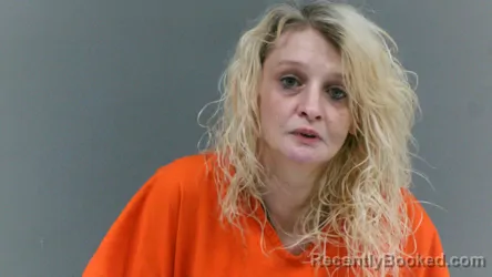 Mugshot of Ashley Nicole Elkins