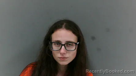 Mugshot of Ashley Nicole Harless booked in Boone County, West Virginia on April 2, 2026