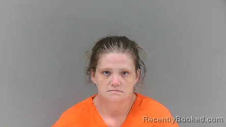 Mugshot of Brittany Denise O'connell booked in Boone County, West Virginia on September 3, 2026