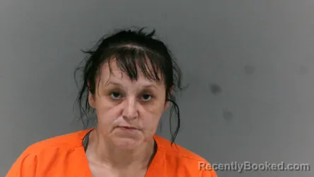 Mugshot of Chasity Dawn Light booked in Boone County, West Virginia on April 2, 2026