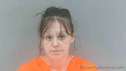 Mugshot of Chasity Dawn Surgoine booked in Boone County, West Virginia on July 30, 2026