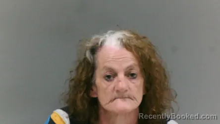 Mugshot of Drema Gail Webb booked in Boone County, West Virginia on April 23, 2026