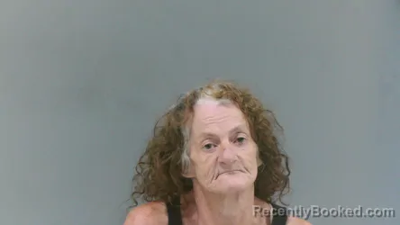 Mugshot of Drema Gail Webb booked in Boone County, West Virginia on September 17, 2026