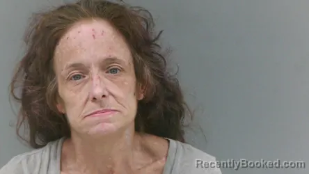 Mugshot of Heather Lynn Maynor booked in Boone County, West Virginia on October 20, 2026