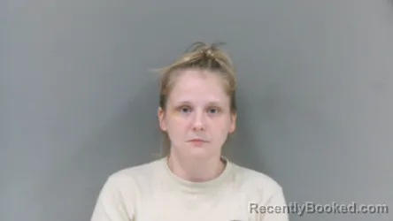 Mugshot of Halea Michelle Paige Ferguson booked in Boone County, West Virginia on October 4, 2026