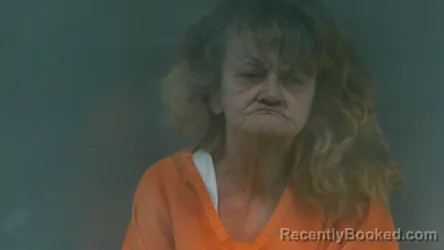 Mugshot of Karen Rosemary Bell