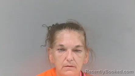 Mugshot of Sue Ann White booked in Boone County, West Virginia on July 19, 2026