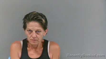 Mugshot of Tonya Faye Green booked in Boone County, West Virginia on September 15, 2026