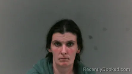 Mugshot of Vanessa Nicole Stiltner booked in Boone County, West Virginia on May 2, 2026