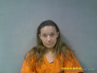 Mugshot of Brittany Jo Williams