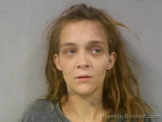 Mugshot of Chassidy Nicole Trevena booked in Braxton County, West Virginia on July 3, 2026