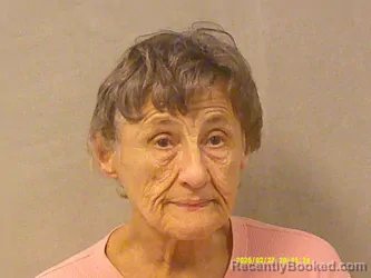 Mugshot of Linda Jean Wellner