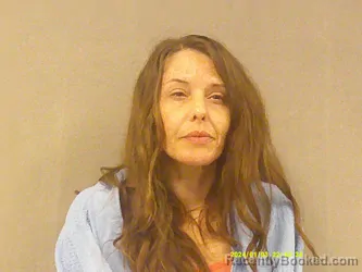 Mugshot of Megan Marie Stump booked in Braxton County, West Virginia on April 3, 2026