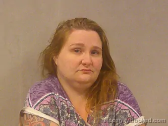 Mugshot of Sue Ellen Sharp booked in Braxton County, West Virginia on June 4, 2026