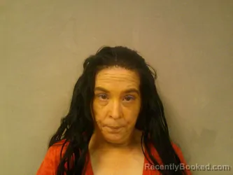 Mugshot of Tammy Jean Ables booked in Braxton County, West Virginia on June 8, 2026