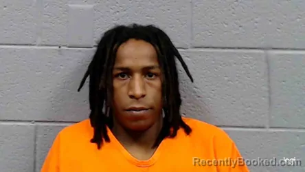 Mugshot of Tauvea Mhalik Davis booked in Braxton County, West Virginia on October 28, 2026