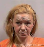 Mugshot of Amanda Gail Harrington