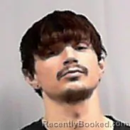 Mugshot of Brandon Turnbull