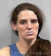 Mugshot of Joy Lynn Meade