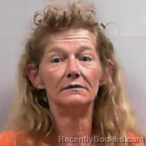 Mugshot of Kimberly Ann Spangler booked in Cabell County, West Virginia on June 20, 2026