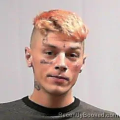 Booking photo from Cabell County, West Virginia