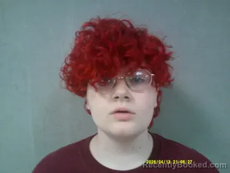 Mugshot of Erica Leann Lynch booked in Calhoun County, West Virginia on April 13, 2026