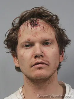 Mugshot of Mickey Case Carter