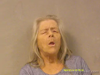 Mugshot of Patty Elaine Wiseman booked in Calhoun County, West Virginia on March 30, 2026