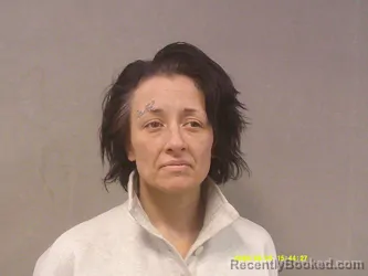 Mugshot of Crystal Marie Drake