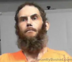 Mugshot of Brandon Micheal Fleeman