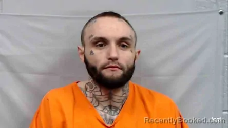 Mugshot of Austin Dale Farmer