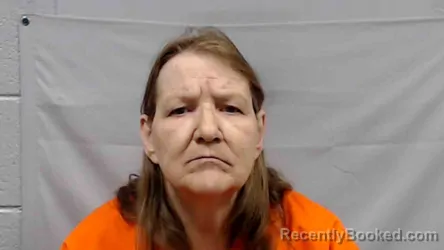 Mugshot of Donna Lee Brown booked in Fayette County, West Virginia on April 24, 2026