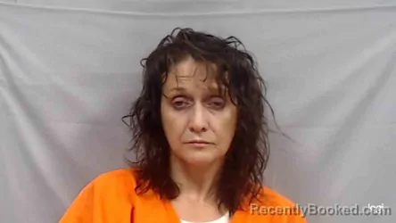 Mugshot of Deborah Lynn Price booked in Fayette County, West Virginia on August 5, 2026