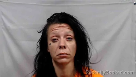 Mugshot of Heather Justeen Sheppard booked in Fayette County, West Virginia on August 14, 2026