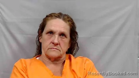 Mugshot of Jane Ann Williams booked in Fayette County, West Virginia on June 20, 2026