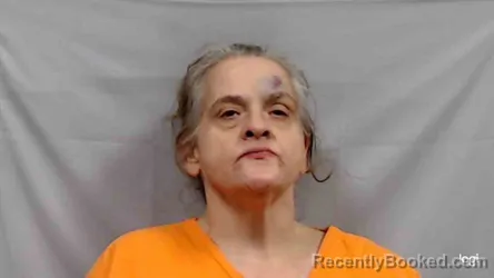 Mugshot of Linda Dawn Graham booked in Fayette County, West Virginia on July 15, 2026