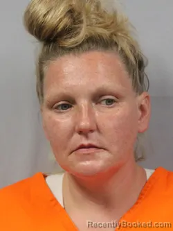 Mugshot of Meggan Danillie Albaugh booked in Fayette County, West Virginia on May 16, 2026