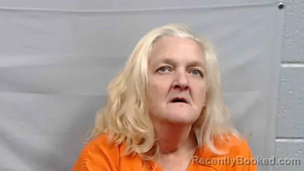 Mugshot of Melissa Ellen Harper