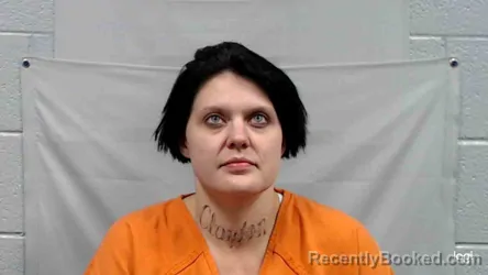 Mugshot of Megan Lashae Osborne booked in Fayette County, West Virginia on August 21, 2026