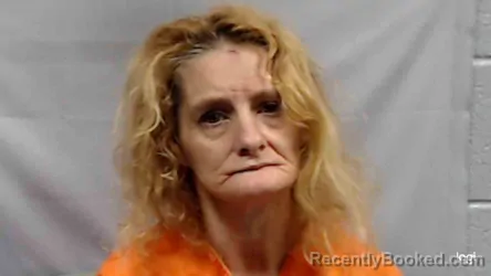 Mugshot of Pamela Gaye Tyree booked in Fayette County, West Virginia on September 5, 2026