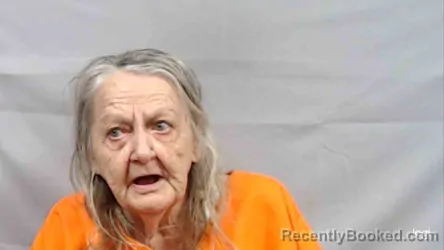 Mugshot of Wanda Sue Fields