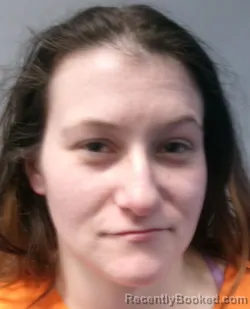 Mugshot of Amanda LeAnn Pippin