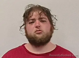 Mugshot of Emory Mcdowell booked in Grant County, West Virginia on October 20, 2026