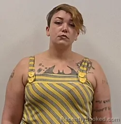 Mugshot of Sierra L Casto booked in Grant County, West Virginia on March 27, 2026