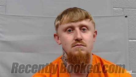 Booking photo from Greenbrier County, West Virginia