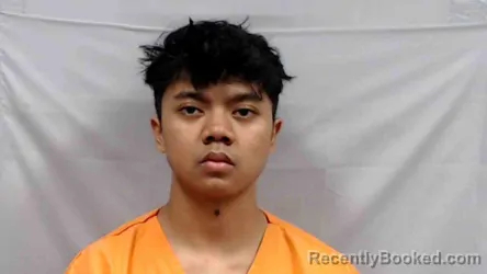 Mugshot of I Putu Arya Arsana Karang booked in Greenbrier County, West Virginia on June 24, 2026