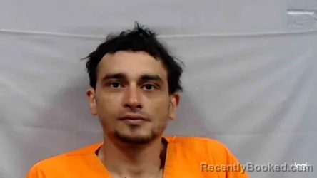 Mugshot of Moayed Bassyouni Basht booked in Greenbrier County, West Virginia on June 3, 2026