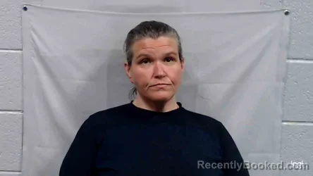 Mugshot of Megan Ledawn Cox booked in Greenbrier County, West Virginia on July 11, 2026